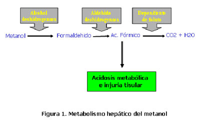 Metabolismo heptico del metanol