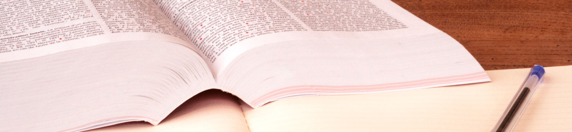 Contenido Multimedia