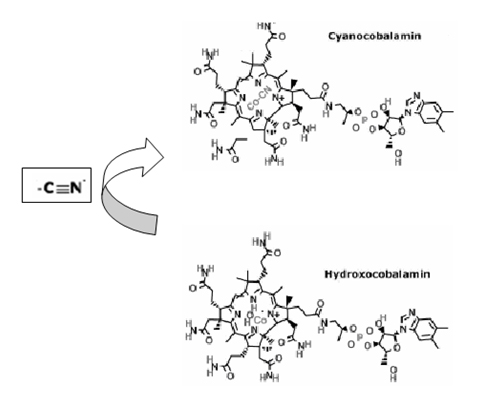 Figura 4. Mecanismo antidtico de la hidroxicobalamina. El antdoto se une al cianuro en una relacin 1:1.