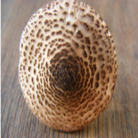 Detalle del sombrero