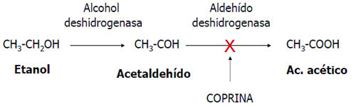 Toxicidad efectos