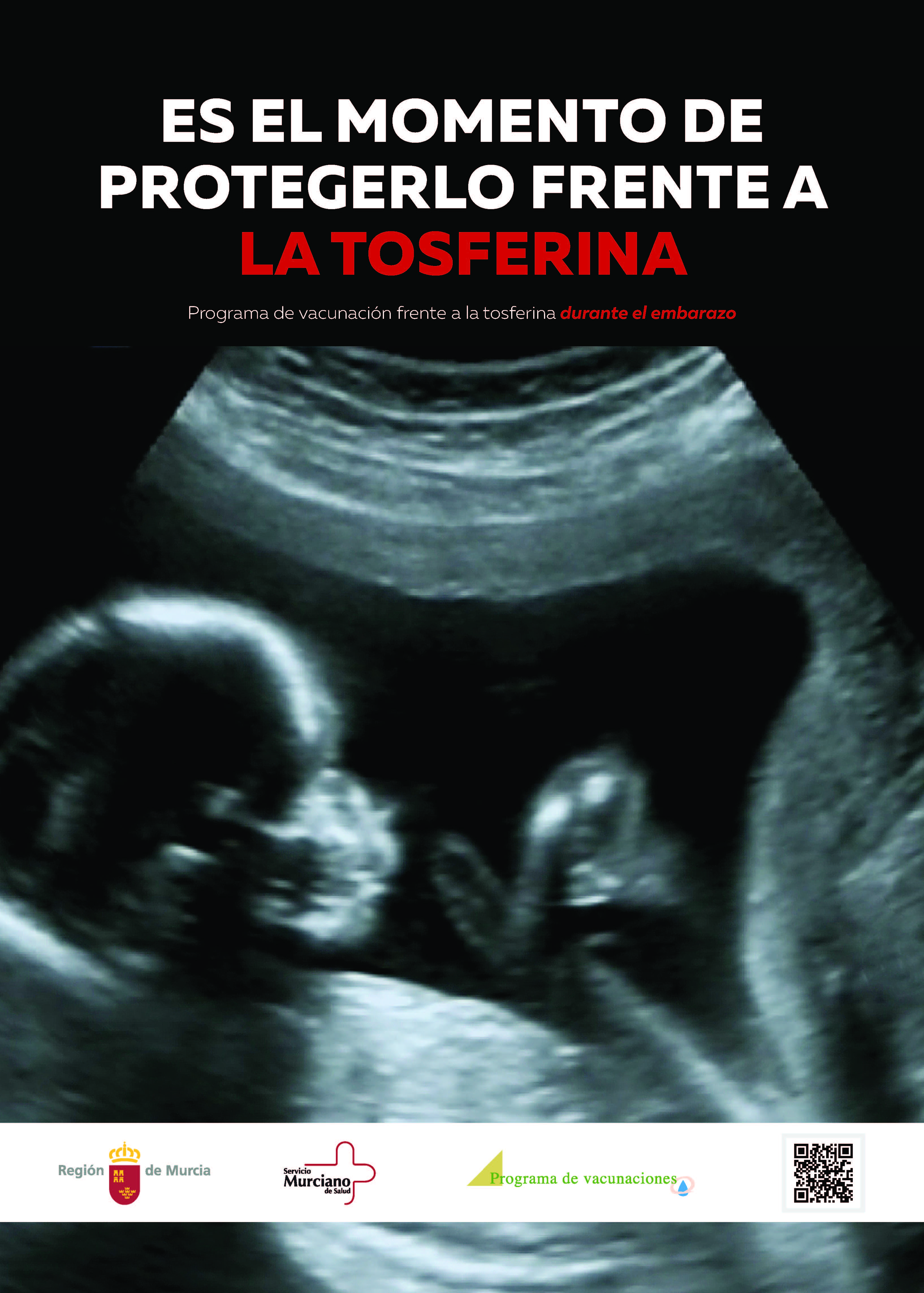Cartel del Programa de vacunación frente a la tosferina durante el embarazo