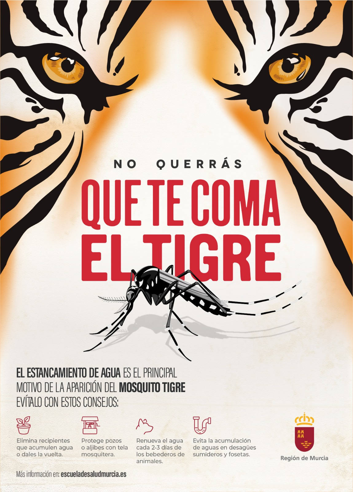 Cartel del Mosquito tigre