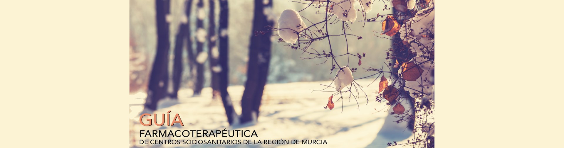 Imagen de Guía farmacoterapéutica de centros sociosanitarios de la Región de Murcia