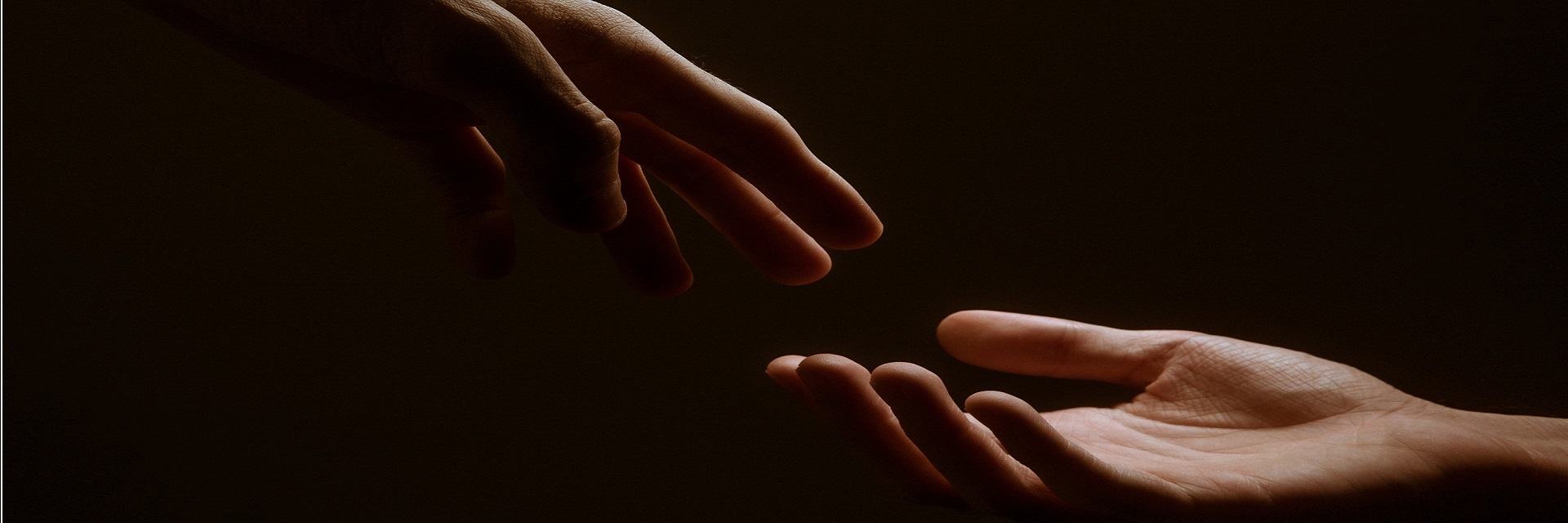 Contenido Multimedia