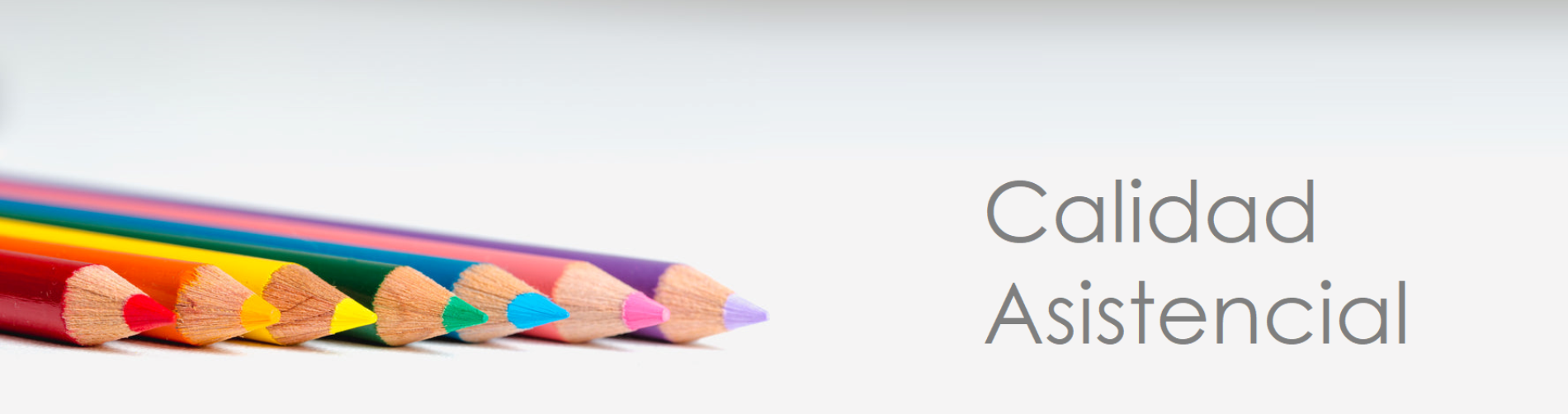 Calidad Asistencial
