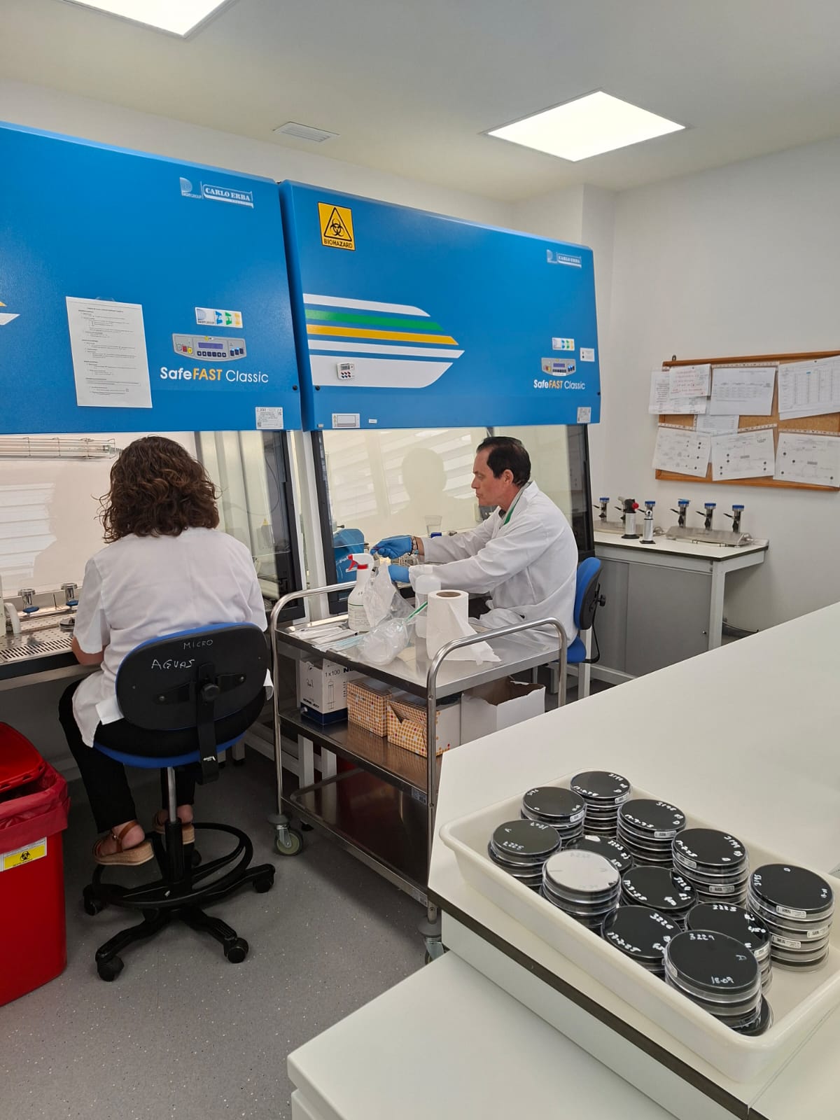 La Consejería de Salud ha publicado un informe que recoge los resultados de la vigilancia de las infecciones ...