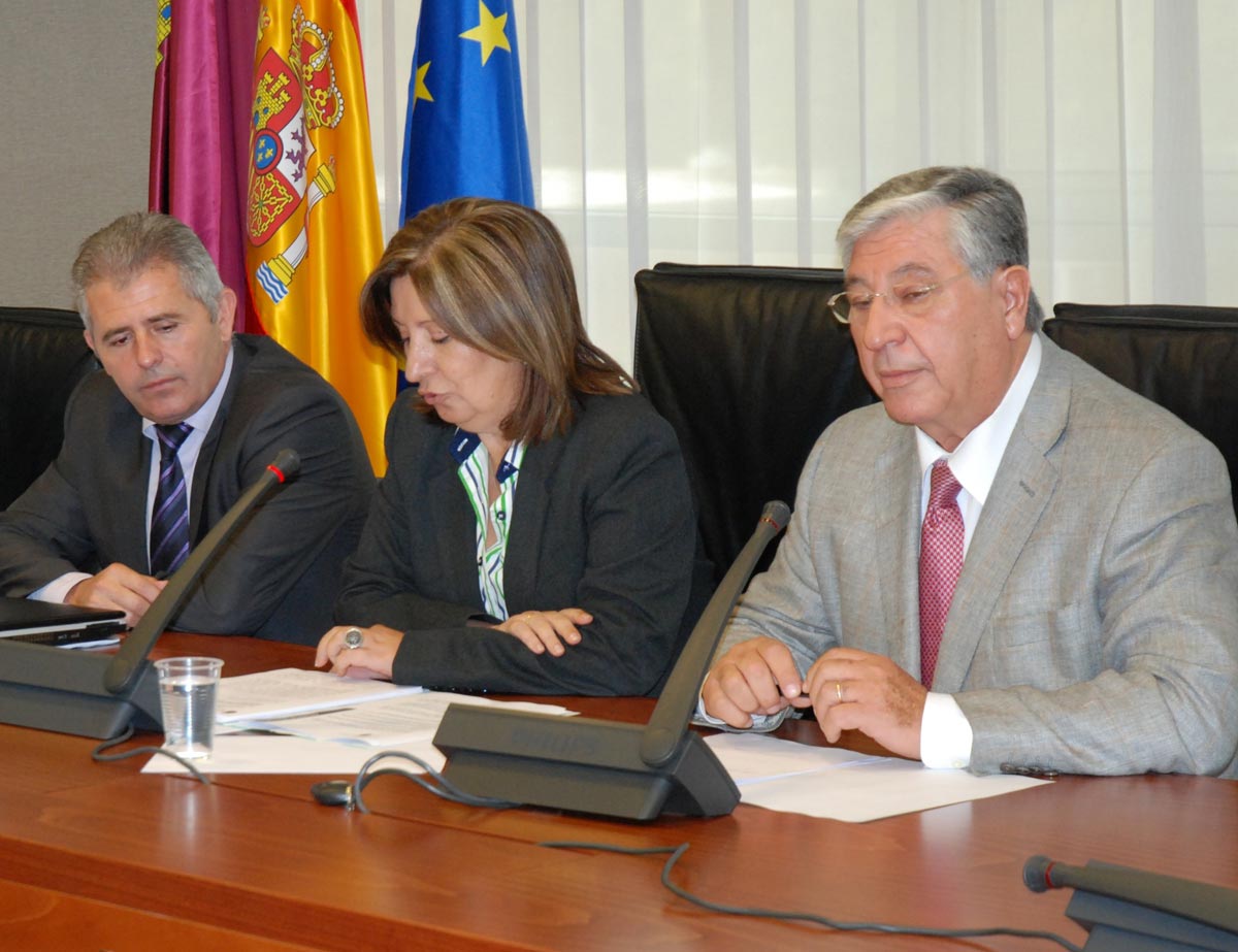 Palacios destaca como mayor valor de la Estrategia 2015 que ha sido elaborada por los profesionales del sistema ...