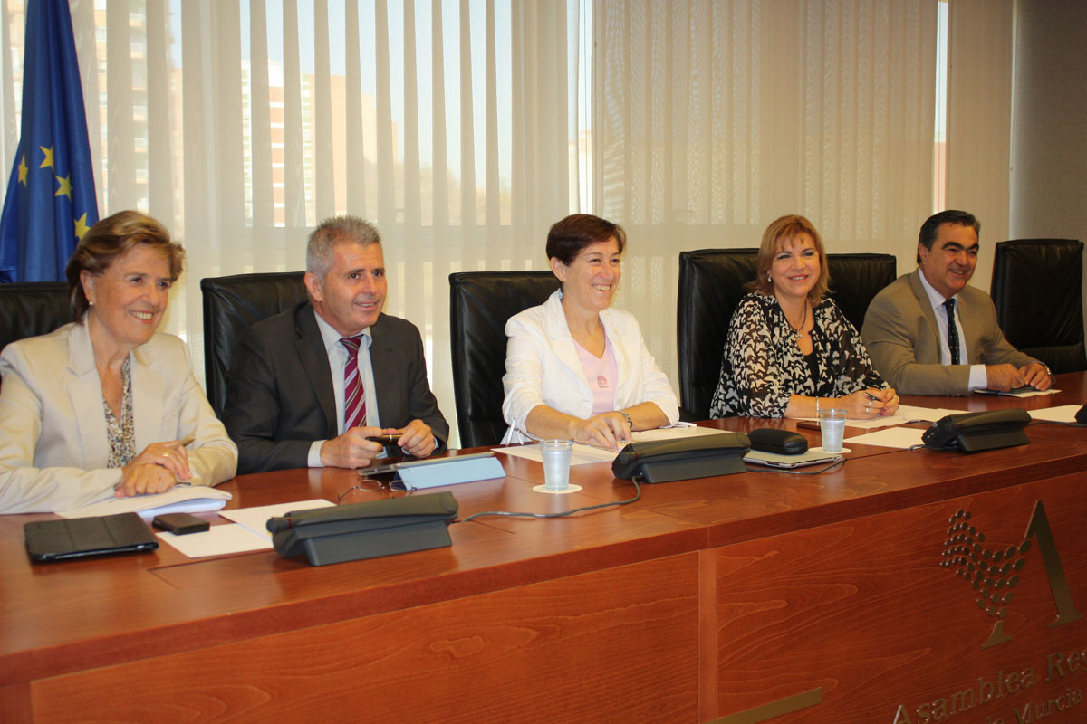 Lorenzo anuncia que en 2015 aumentarán los fondos regionales para atender a personas con Trastorno Generalizado del ...