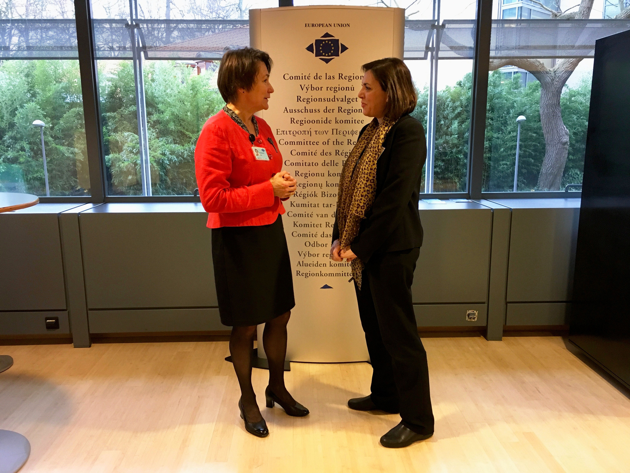 Sanidad propone al Comité de las Regiones la prevención como herramienta para abordar los nuevos retos de salud en ...