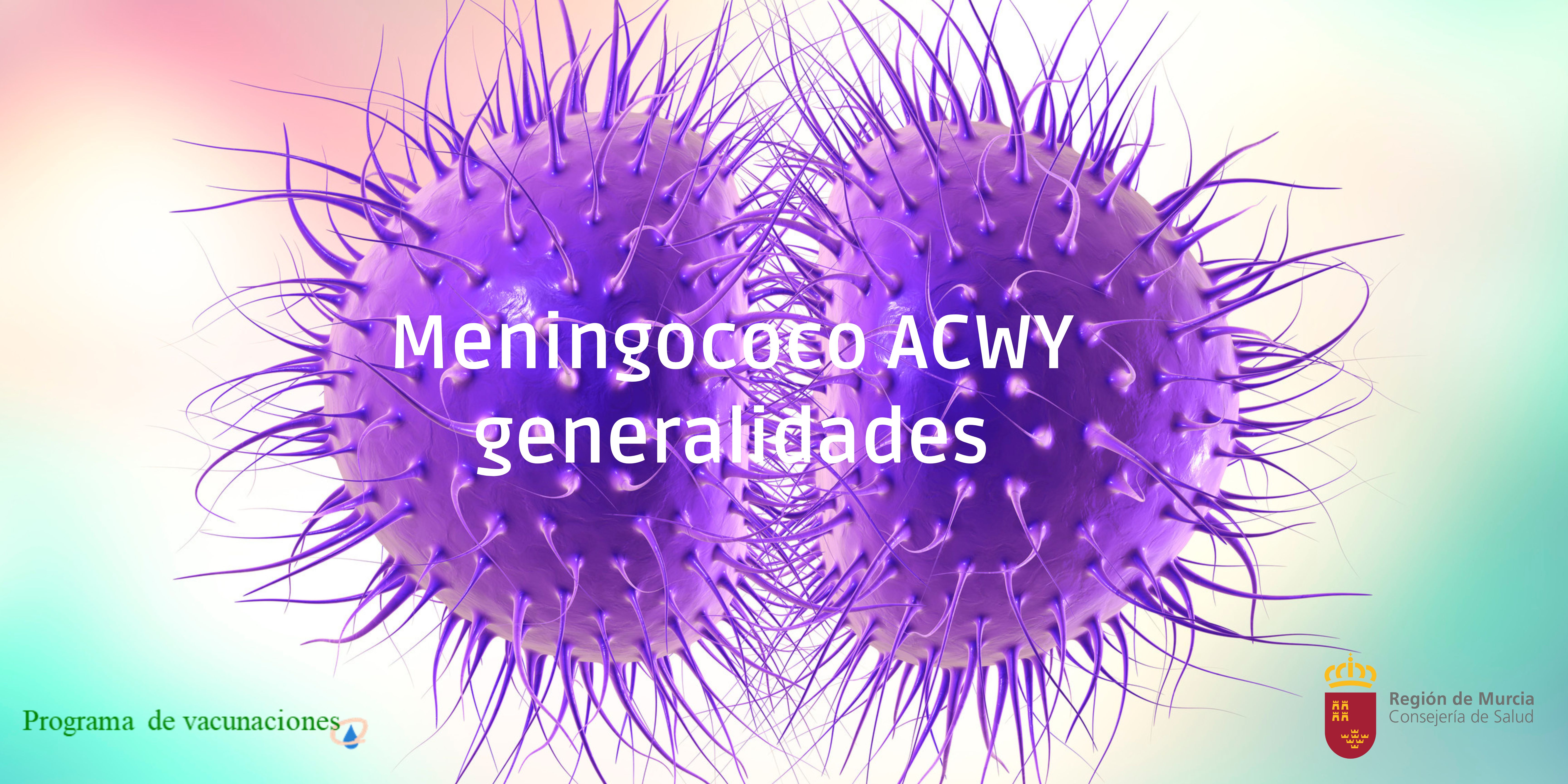 Meningococo ACWY. Generalidades
