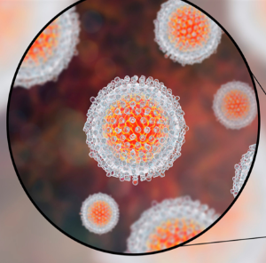 Imagen del patógeno causante de: Hepatitis B