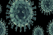 Imagen del patógeno causante de: Viruela del mono-Mpox