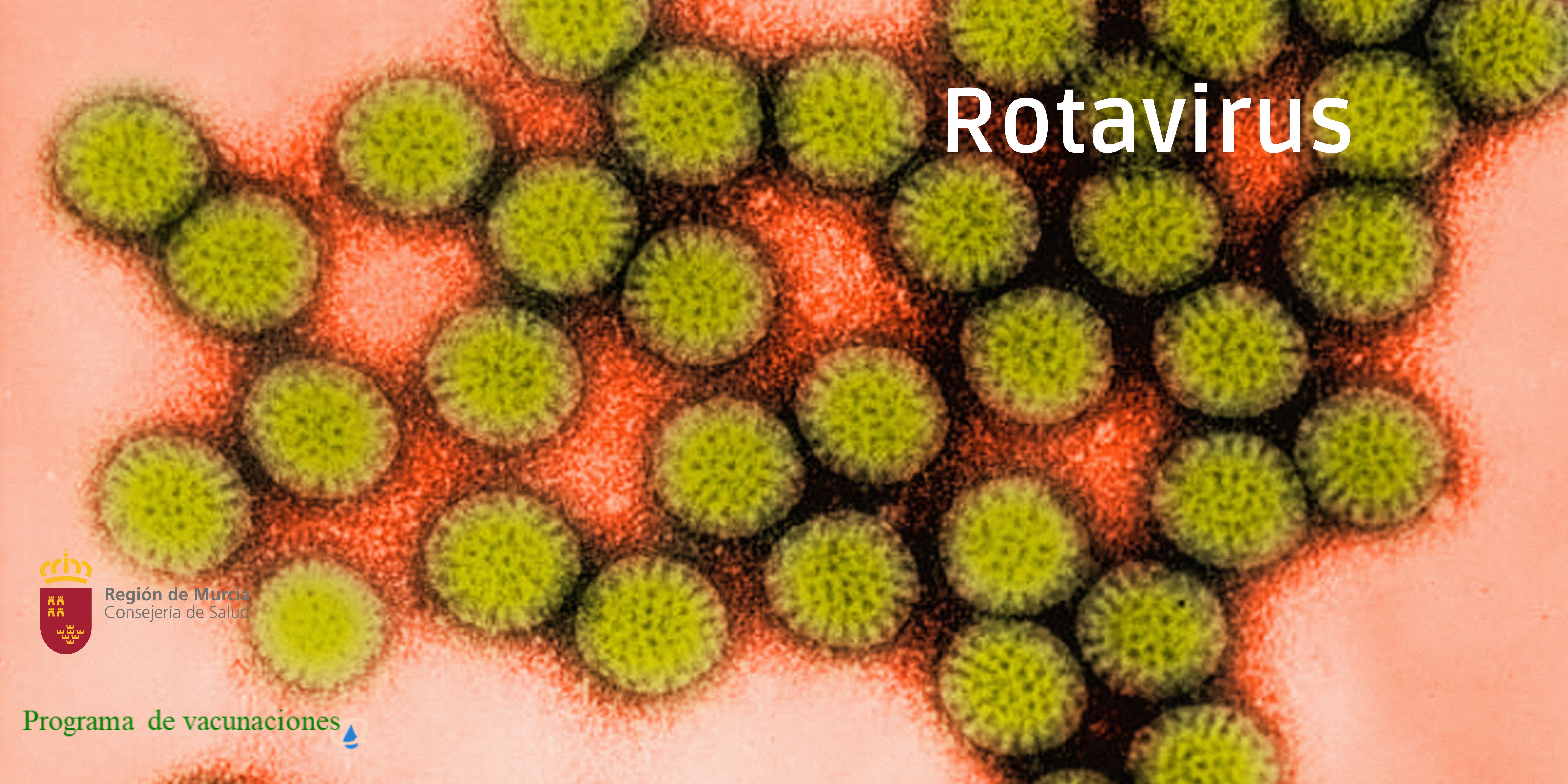 Rotavirus