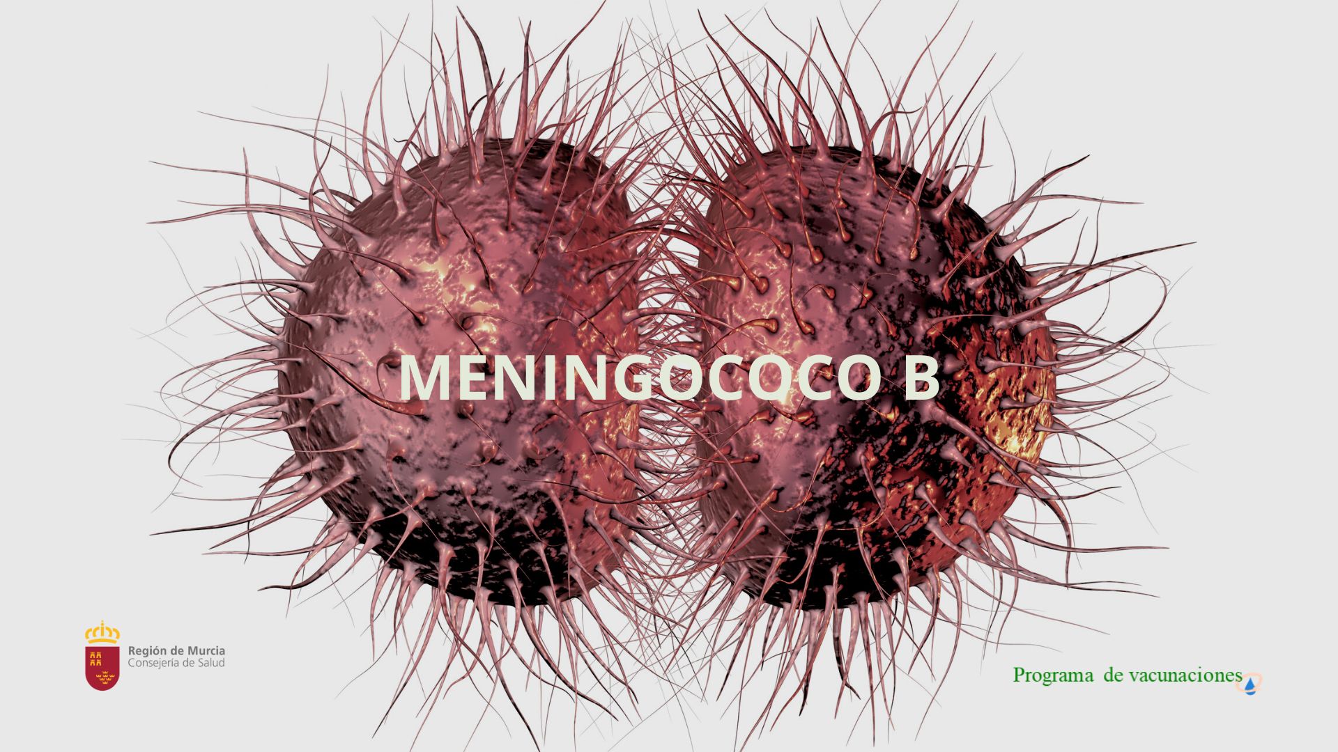 Meningococo B