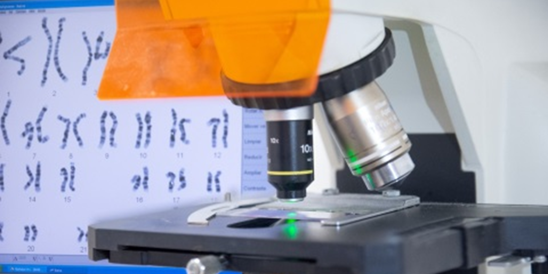 Contenido Multimedia Laboratorio de Citogenética