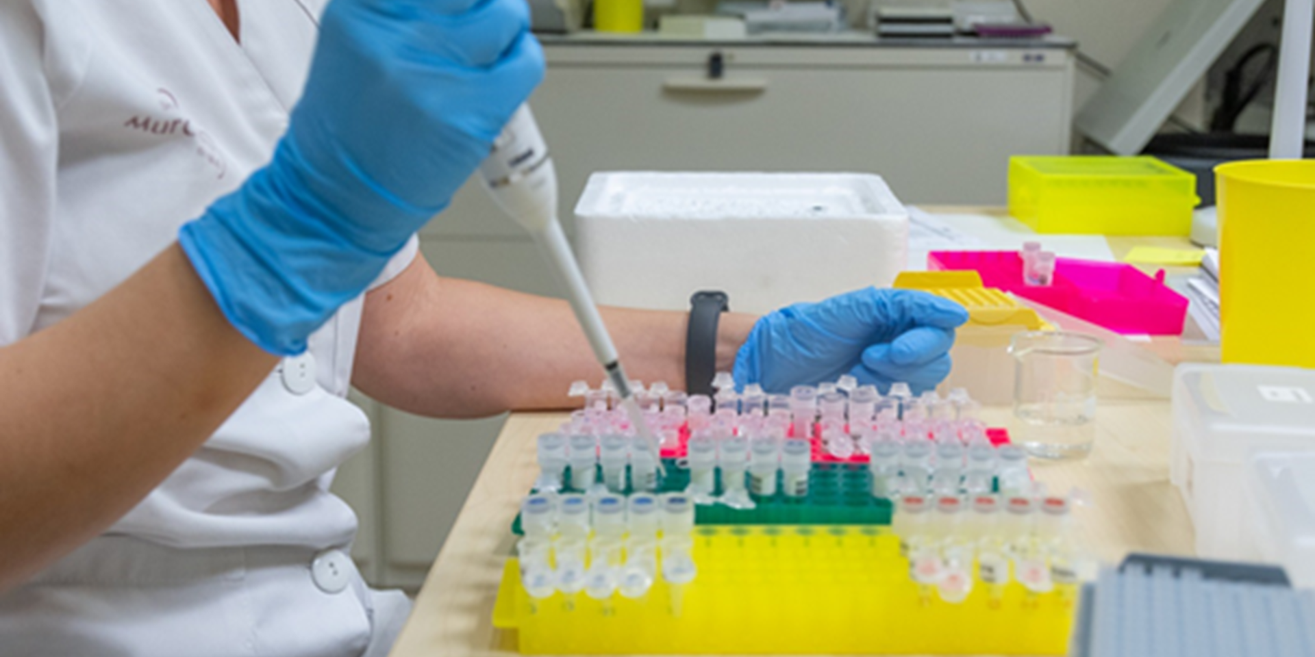 Contenido Multimedia