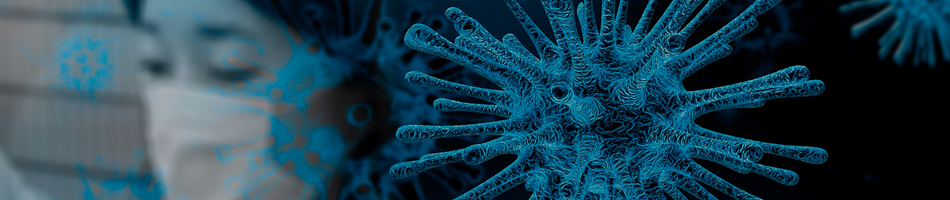 Contenido Multimedia