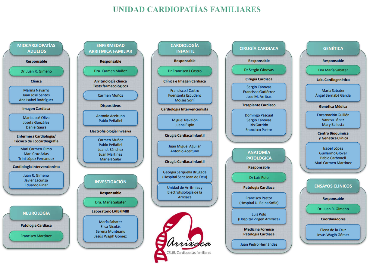 Organigrama - CSUR ERN - murciasalud