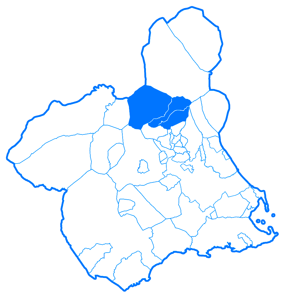 Mapa de la Región de Murcia divida en municipios señalando los que pertenecen al área 9, llamada Vega Alta del Segura