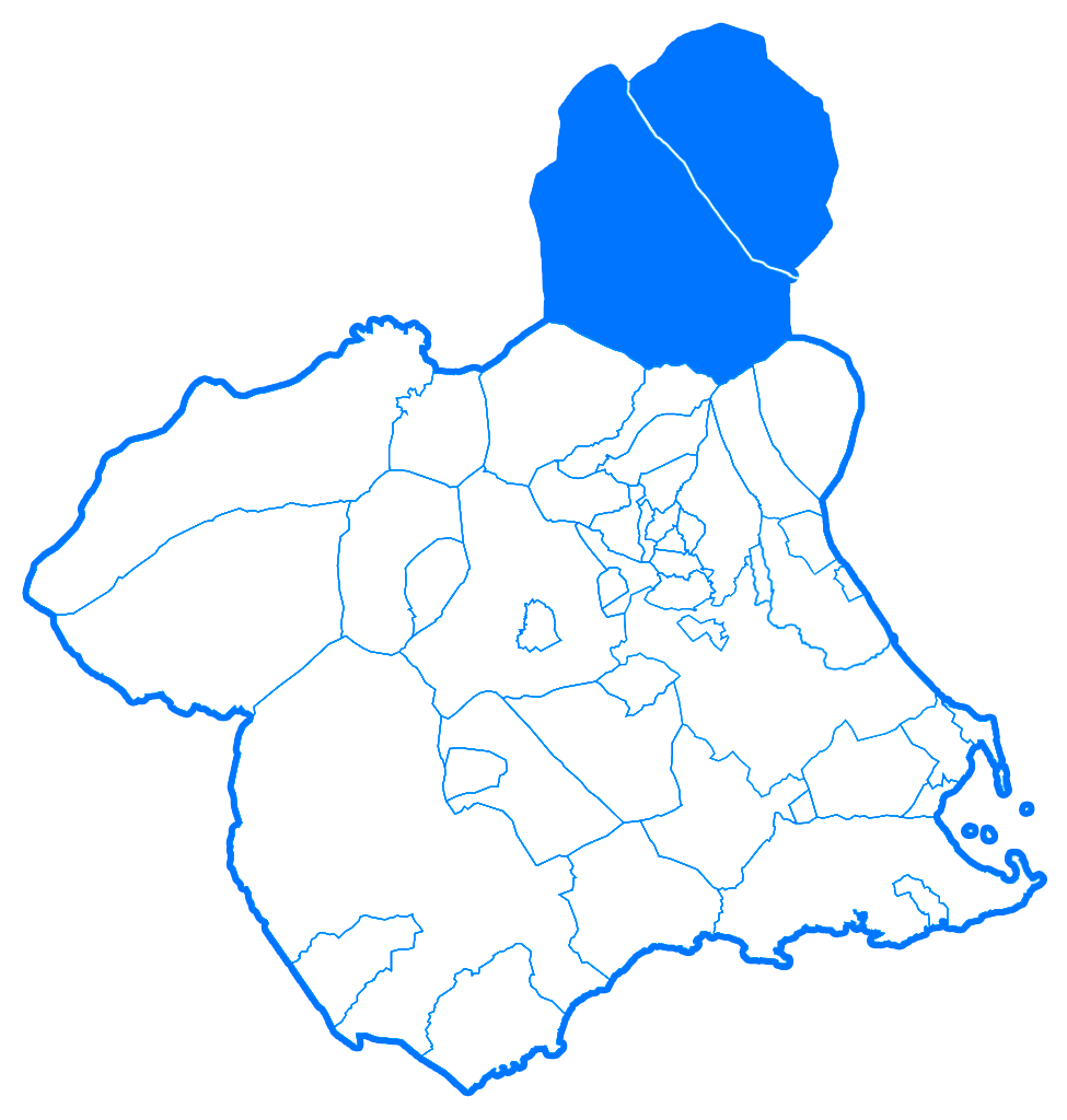 Mapa de la Región de Murcia divida en municipios señalando los que pertenecen al área 5, llamada Altiplano