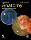 Journal of anatomy