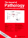 The Journal of pathology