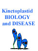 Kinetoplastid biology and disease