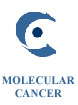 Molecular cancer