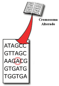 Cromosoma alterado