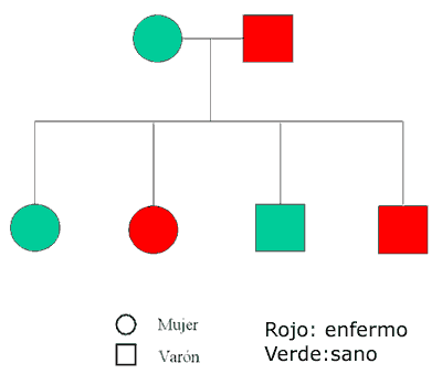 Árbol familiar, patrón de herencia autosómico dominante